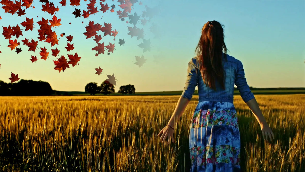 Autumn leaves drifting over a field