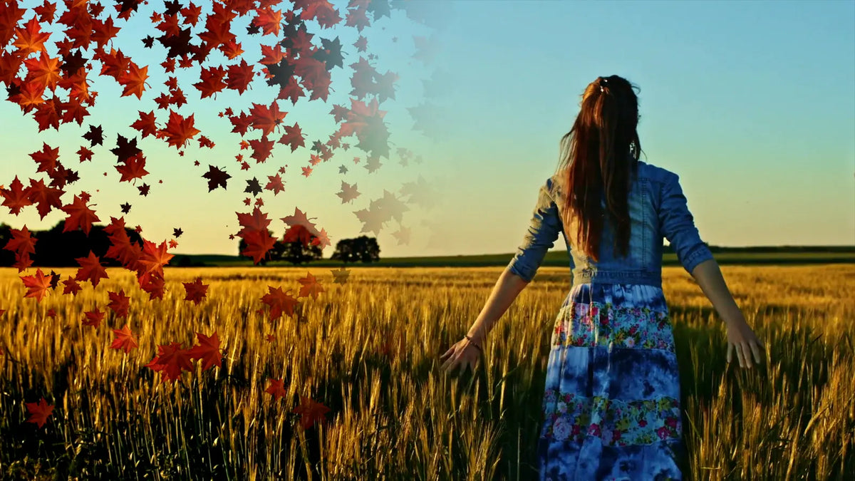Leaves blowing across the frame