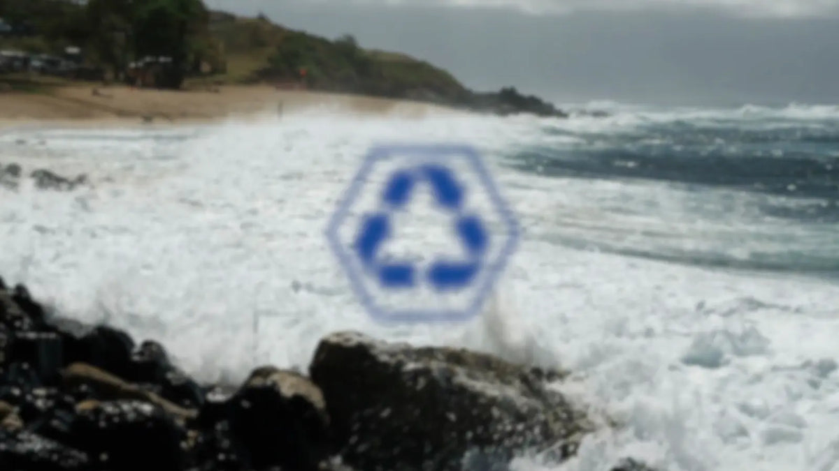 Logo coming into focus