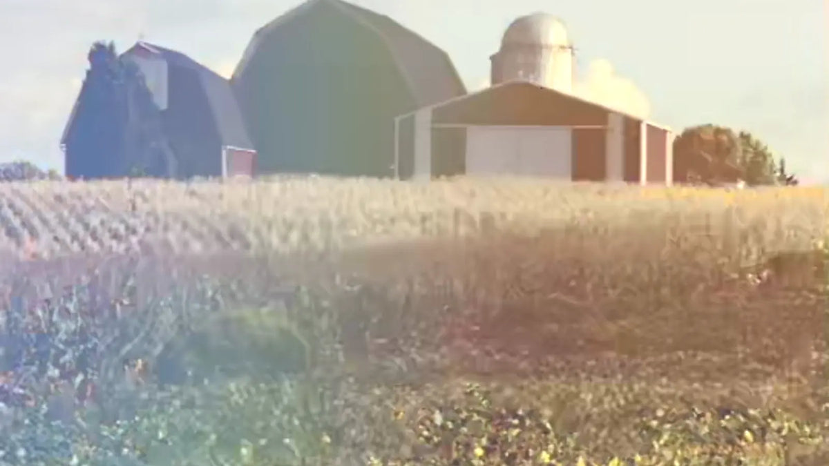 Light leak across a farm