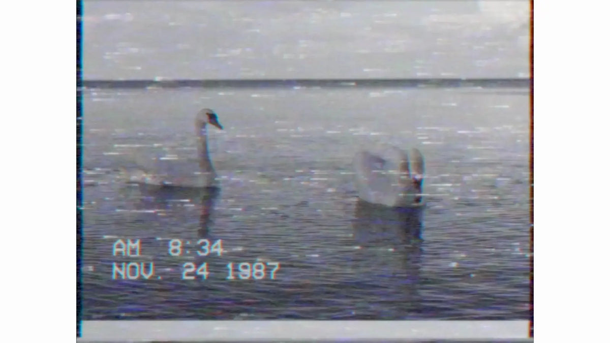 Worn tape look on a lake scene
