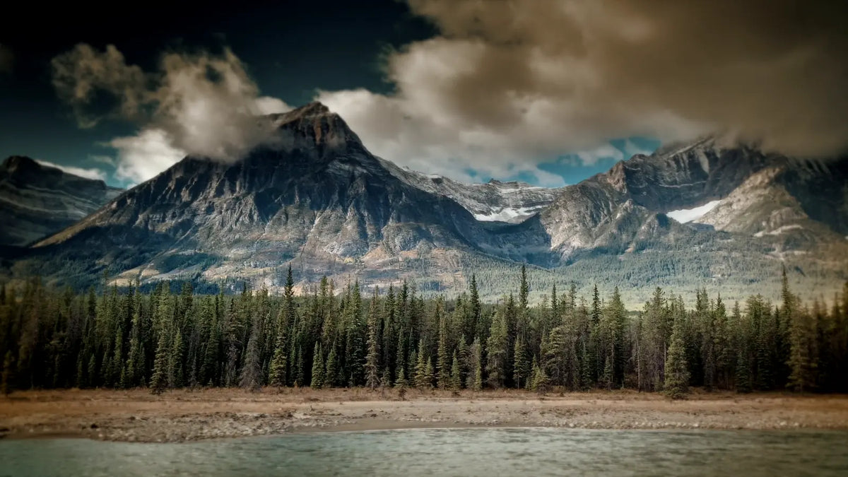 Moody vignette on a landscape