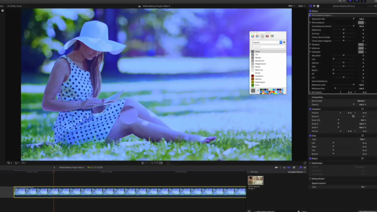 Picking the white point in Final Cut Pro