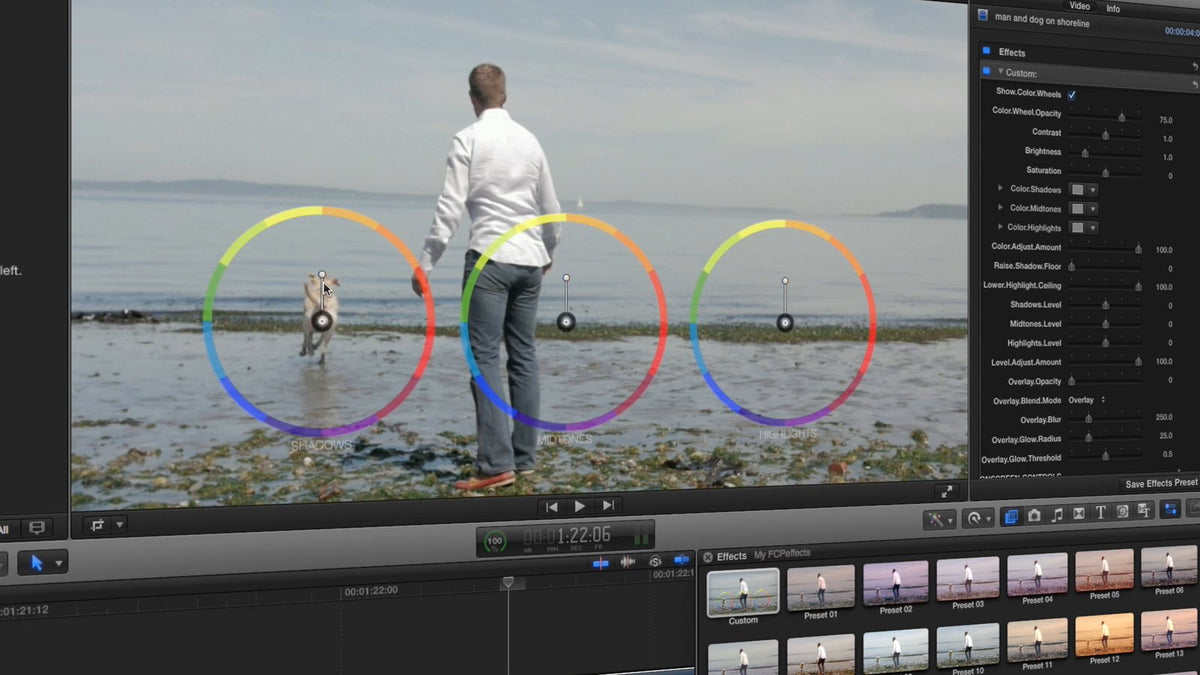 Quick Color on-screen color wheels in the Final Cut Pro viewer