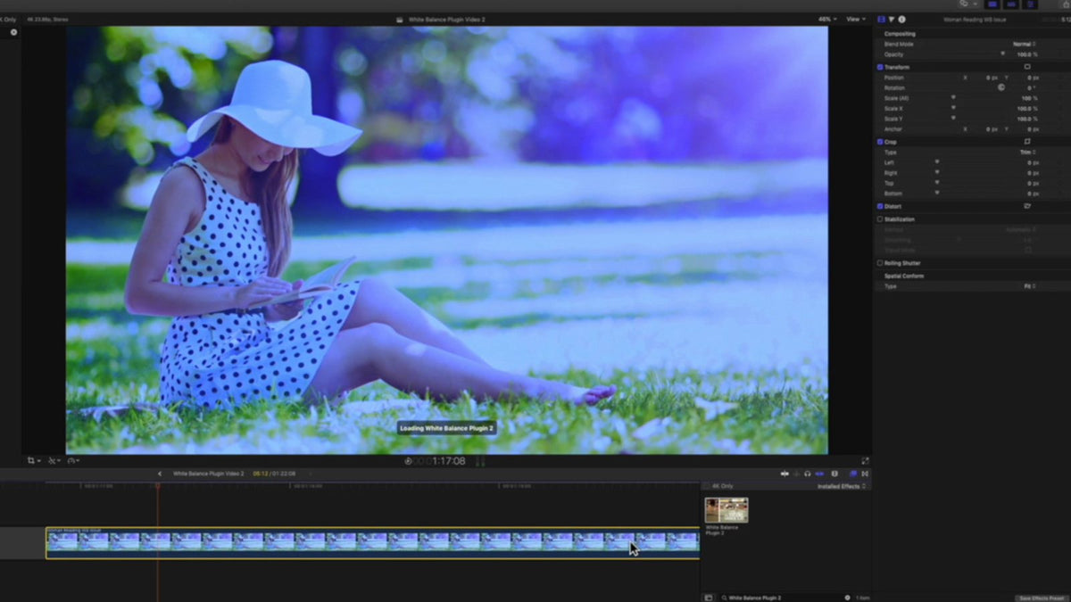 Effect settings in the Final Cut Pro Inspector