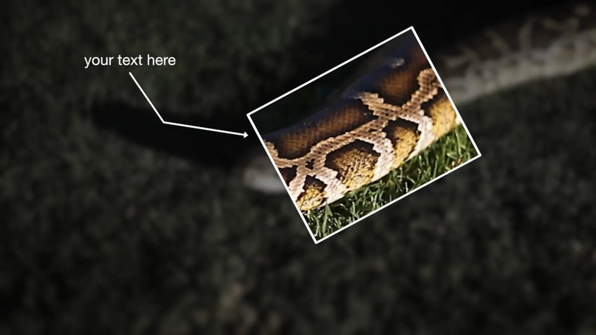 Zoom box with a text label