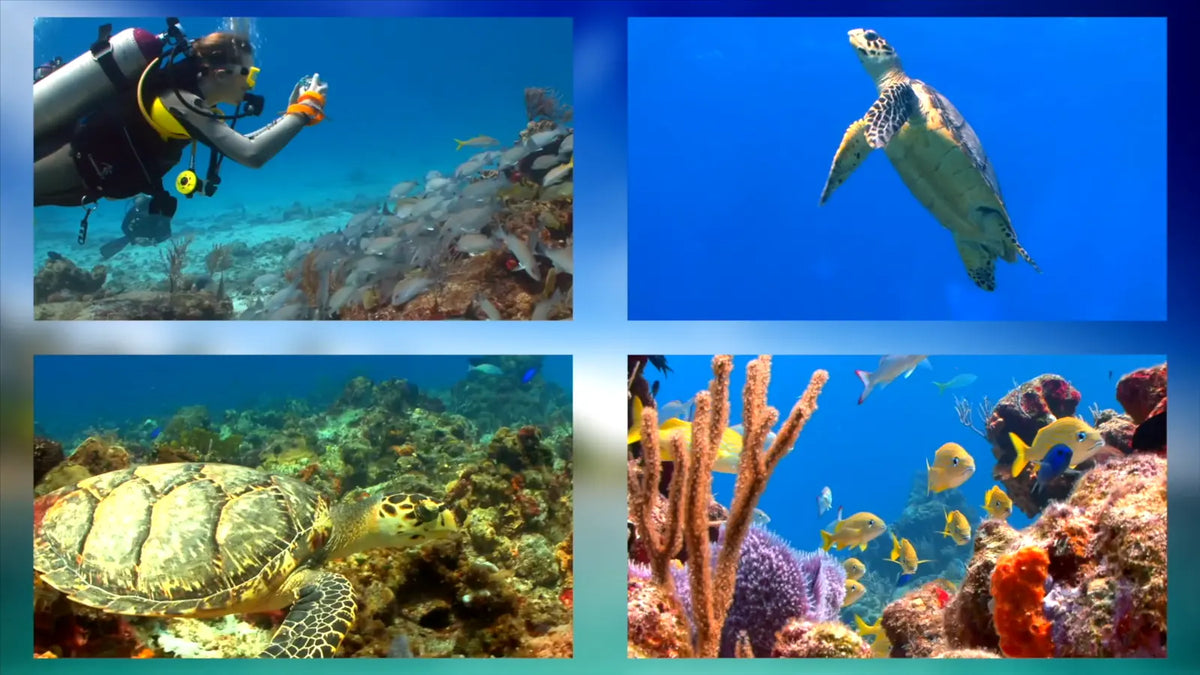 Tile effect on underwater clips