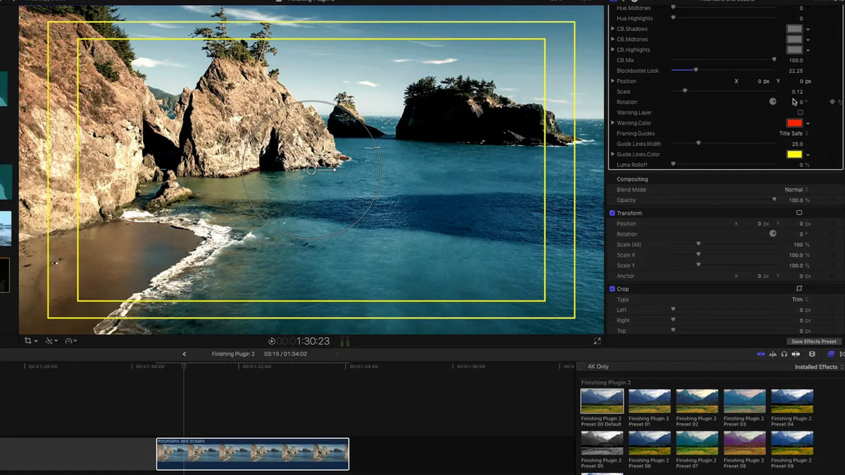 Framing guides in the viewer