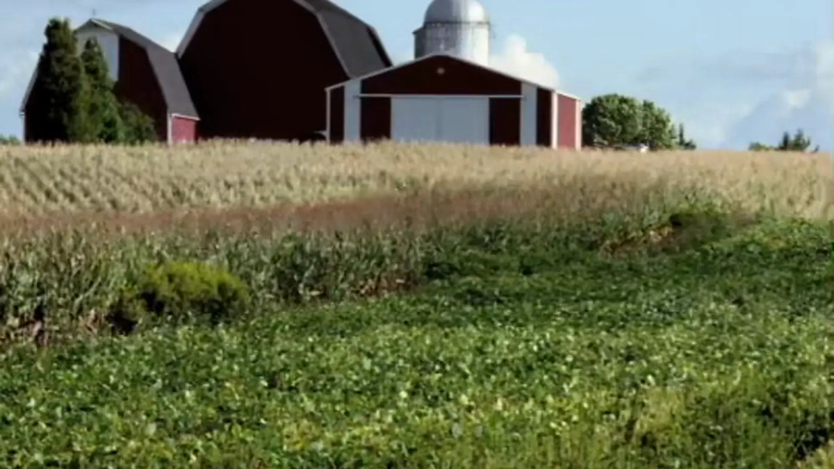 Graduated filter on a farm scene