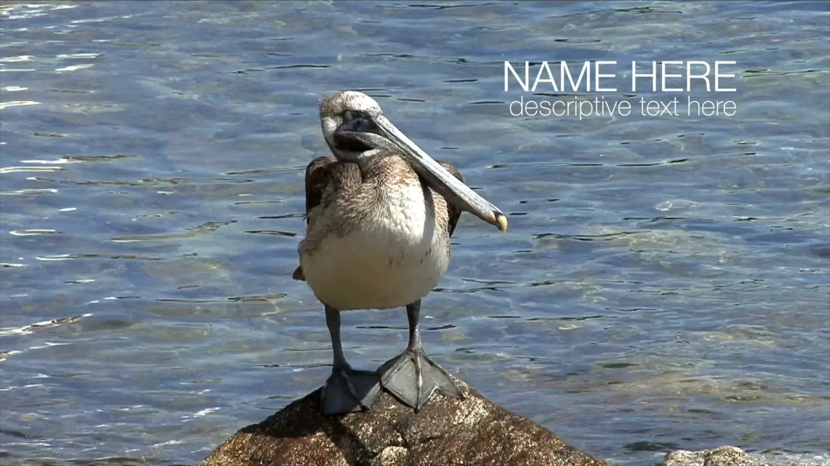 Minimal text lower third