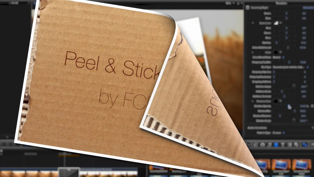 Peeling cardboard title