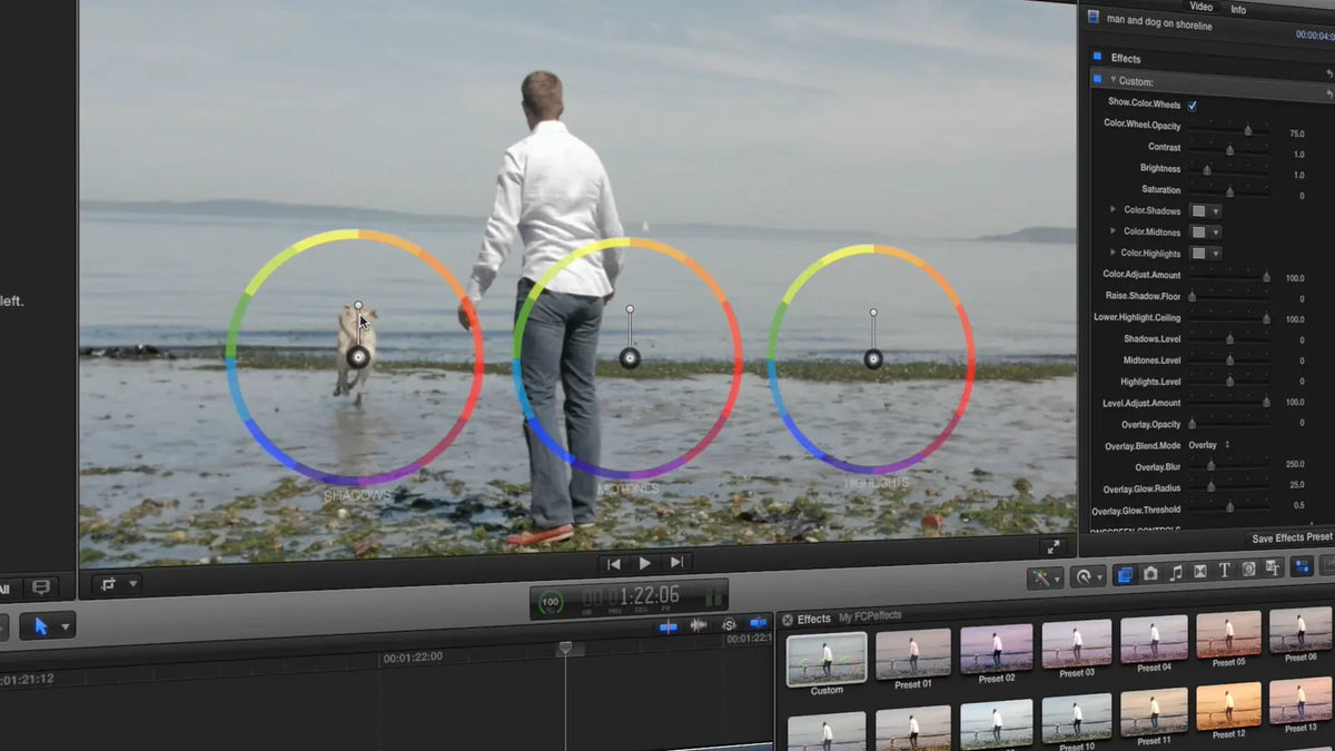 On-screen color wheels