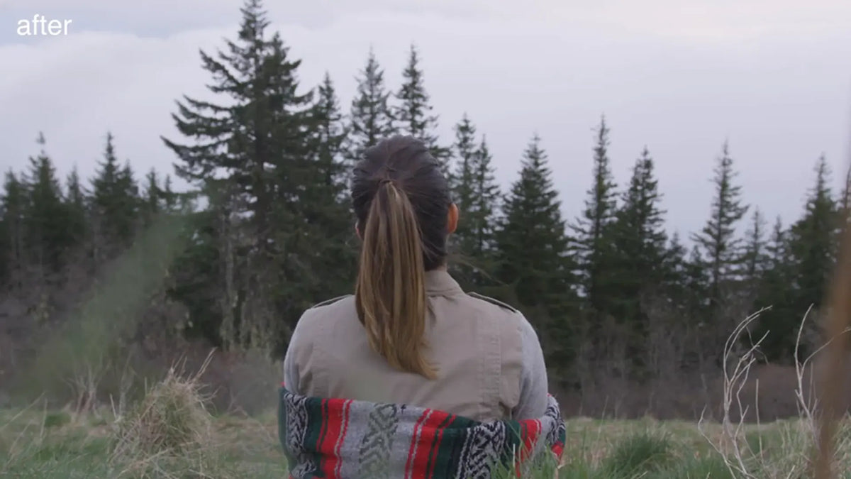 Field