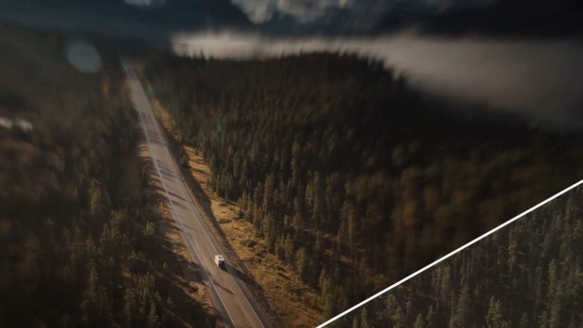 Before and after: forest road