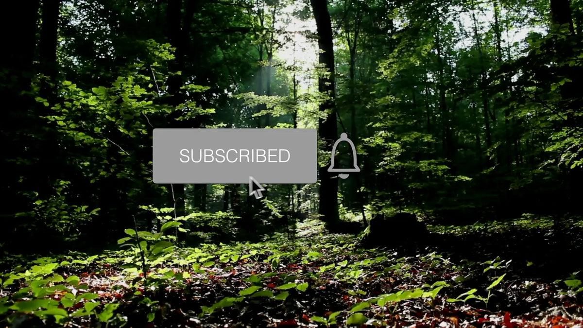 Button after the click: Subscribed